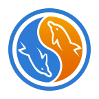 c++ language skill